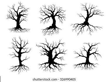 Different black leafless deciduous winter tree silhouettes with roots, isolated on white