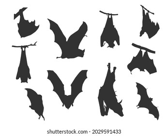 Different black shadow of bat on the white background.