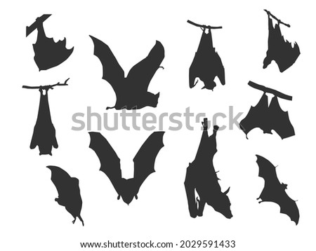 Different black shadow of bat on the white background.