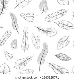 A lot of different black and white exotic feathers, seamless pattern on white