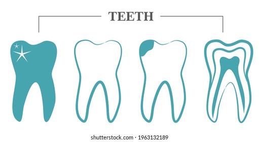 Different blue teeth for dentisty.