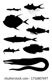 Different body shapes of sea fish (threadfin, mackerel, triggerfish, trigla, vomer, moray, pike conger, scorpionfish, red mullet ). Black silhouette vector image set.