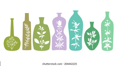 Different bottles with various silhouettes of aromatic plants. Abstract essentials with herbs. Isolated on white background. Design elements for cooking ideas. Vector file is EPS8.