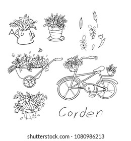 Different bouquets and flowers grow in baskets and watering cans. Set of Doodle.