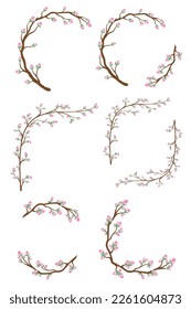 different branch of cherry tree, cherry branch blossom