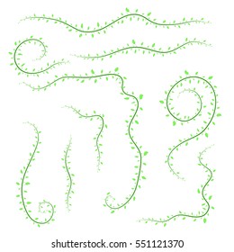 different branches isolated in white background in vector