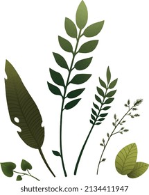 different branches of plants of different varieties and colors