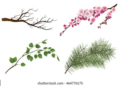 Different branches of trees