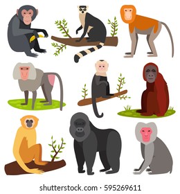 Different breads monkey character animal wild vector set illustration