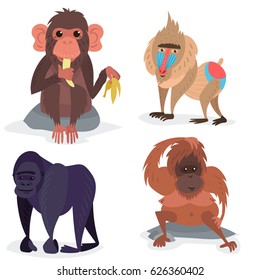 Different breads monkey character animal wild zoo ape chimpanzee vector illustration.