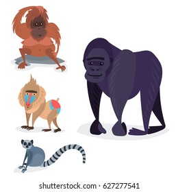 Different breads monkey character animal wild zoo ape chimpanzee vector illustration.