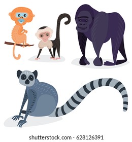 Different breads monkey character animal wild zoo ape chimpanzee vector illustration.