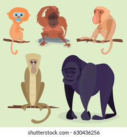 Different breads monkey character animal wild zoo ape chimpanzee vector illustration.