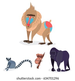 Different breads monkey character animal wild zoo ape chimpanzee vector illustration.