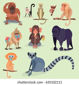 Different breads monkey character animal wild zoo ape chimpanzee vector illustration.
