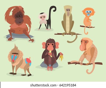 Different Breads Monkey Character Animal Wild Zoo Ape Chimpanzee Vector Illustration.