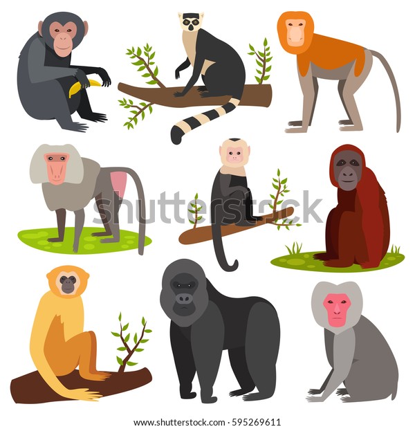 Different breads monkey character animal\
wild vector set\
illustration