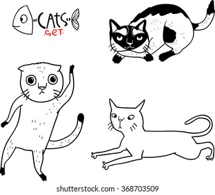 Different breeds of cats (5/5)