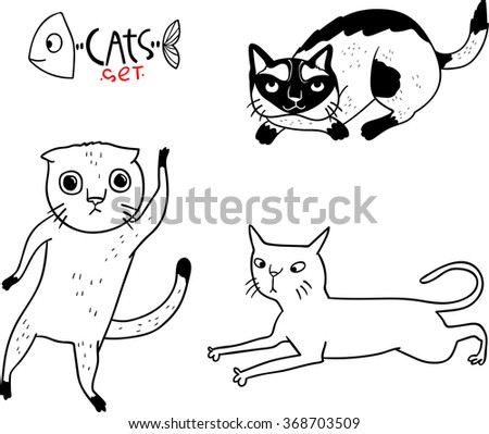 Different breeds of cats (5/5)
