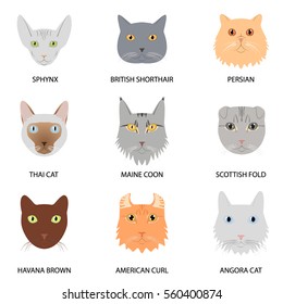 Different Breeds Cats Icons Set Stock Vector (Royalty Free) 560400874