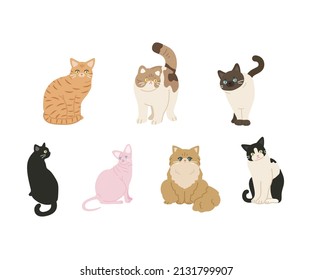 Different breeds of cats, Kittens, flat illustration of lovely cats