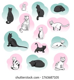 Different breeds of cats in different poses and different colors. Set of cats in a flat vector style.