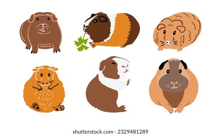 Different breeds of cute guinea pigs hand drawn vector illustration. Small pet drawing. Domestic rodent icon set.