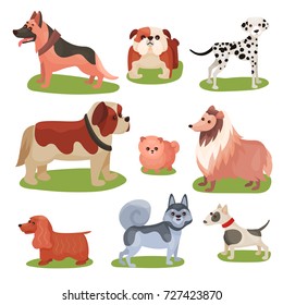 Different breeds of dog set, purebred pets animal colorful vector Illustrations