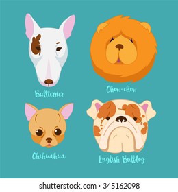 Different breeds of dogs.Pug characters. Cartoon vector illustration.Set of 4 stickers, handmade. Head.Icons.