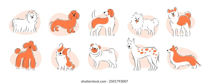 Different breeds of dogs. Pets set. Vector illustration.