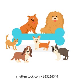Different breeds of dogs vector set