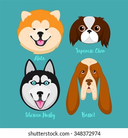 Different breeds of dogs.Akita,Siberian Husky,Japanese Chin,basset.Pug characters. Cartoon vector illustration.Set of 4 stickers, handmade. Head. Icons .