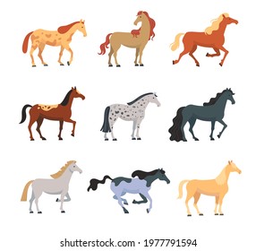 Different breeds of horses flat vector illustrations set. Colorful domestic animals, American mustangs standing and running isolated on white background. Nature, animals, farming, racing concept