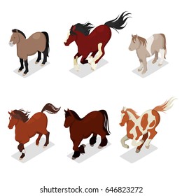 Different Breeds Horses Set with Pony, American Paint horse and Tinker. Isometric vector flat 3d illustration