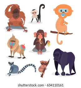 Different breeds of monkey, character animal wild zoo ape chimpanzee vector illustration.