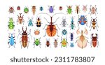 Different bugs set. Insects, summer species. Colorado potato beetle, ladybird, chafer, wasp, mosquito. Little multicolored fauna, nature. Colored flat vector illustrations isolated on white background