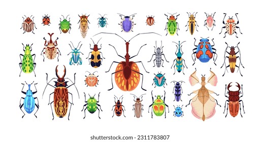 Different bugs set. Insects, summer species. Colorado potato beetle, ladybird, chafer, wasp, mosquito. Little multicolored fauna, nature. Colored flat vector illustrations isolated on white background