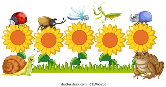 Different bugs in sunflower garden illustration