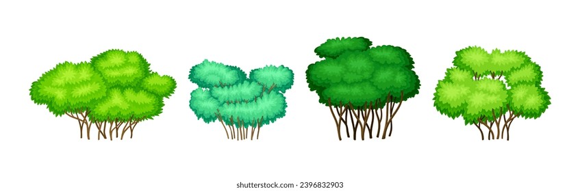 Different Bush with Green Top Lush Crown Vector Set