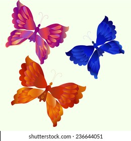 different butterflies