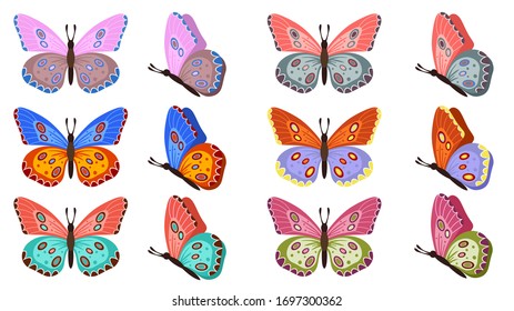 Different butterflies collection. Vector illustration. Colored butterflies isolated on white background. Pretty vector butterfly set with spring palette for child.