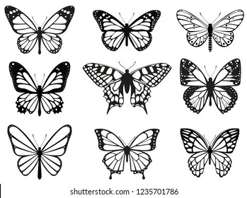 Different butterflies set. Vector illustration