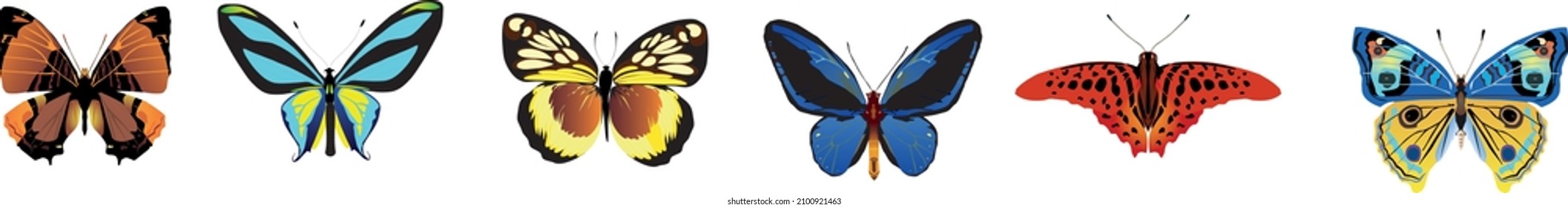 Se ponen diferentes mariposas. Ilustración del vector