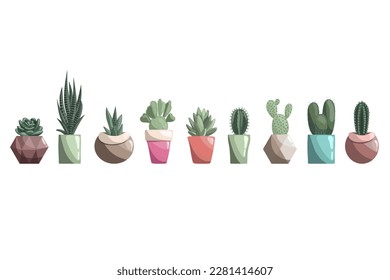 Different cacti in ceramic pots.  Set of succulents, prickly pear, opuntia, haworthia, echeveria, zebra cactus, sansevieria