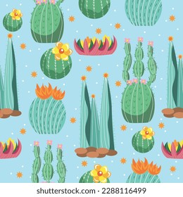 Different cacti, flowers and succulents on light blue background