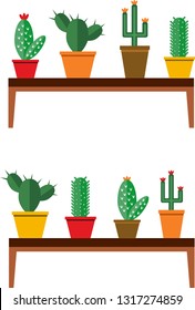 Different cacti located on the shelves.