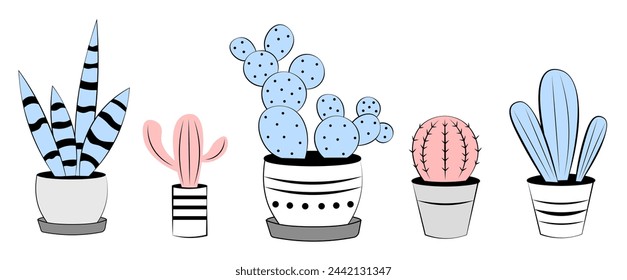 Different cacti on a white background. Doodle