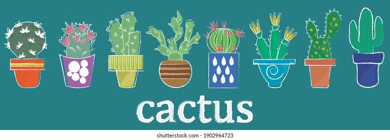 different cacti, vector drawing, garden cartoon 