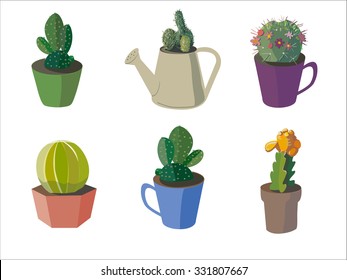different cactus