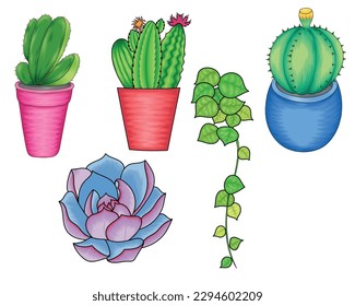 Different cactus on pot and succulent vector illustration on transparent background